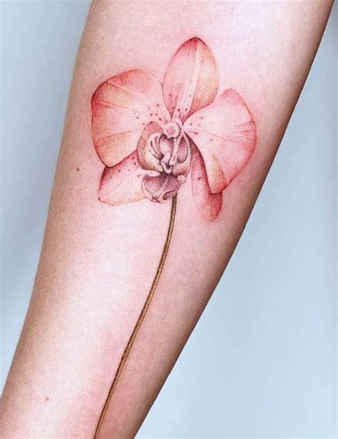 tatuaggio fiori braccio femminile|98 bellissimi tatuaggi con fiori e significato